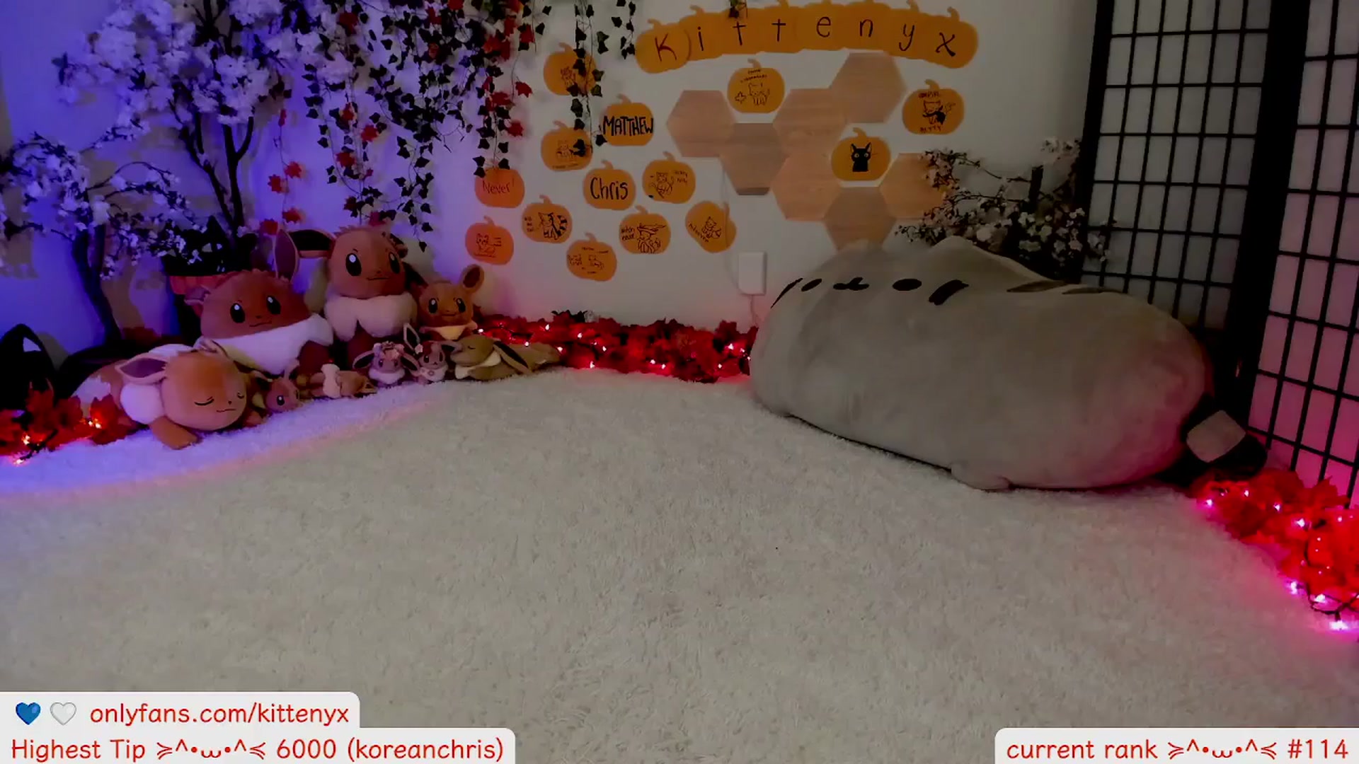 Gallery image thumbnail from Kittenyx's myfreecams stream on, 11/01/2025, 07:44 image 13 of 20