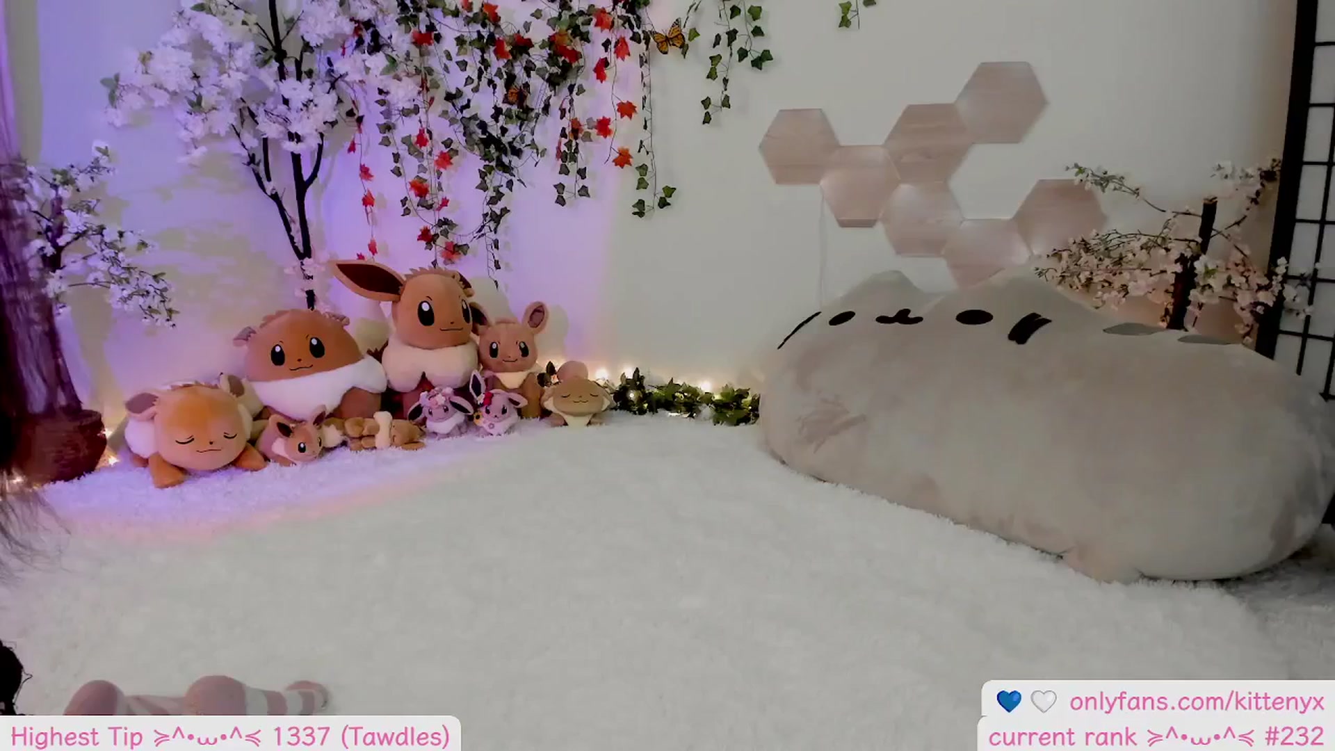 Gallery image thumbnail from Kittenyx's myfreecams stream on, 11/11/2025, 07:21 image 20 of 20
