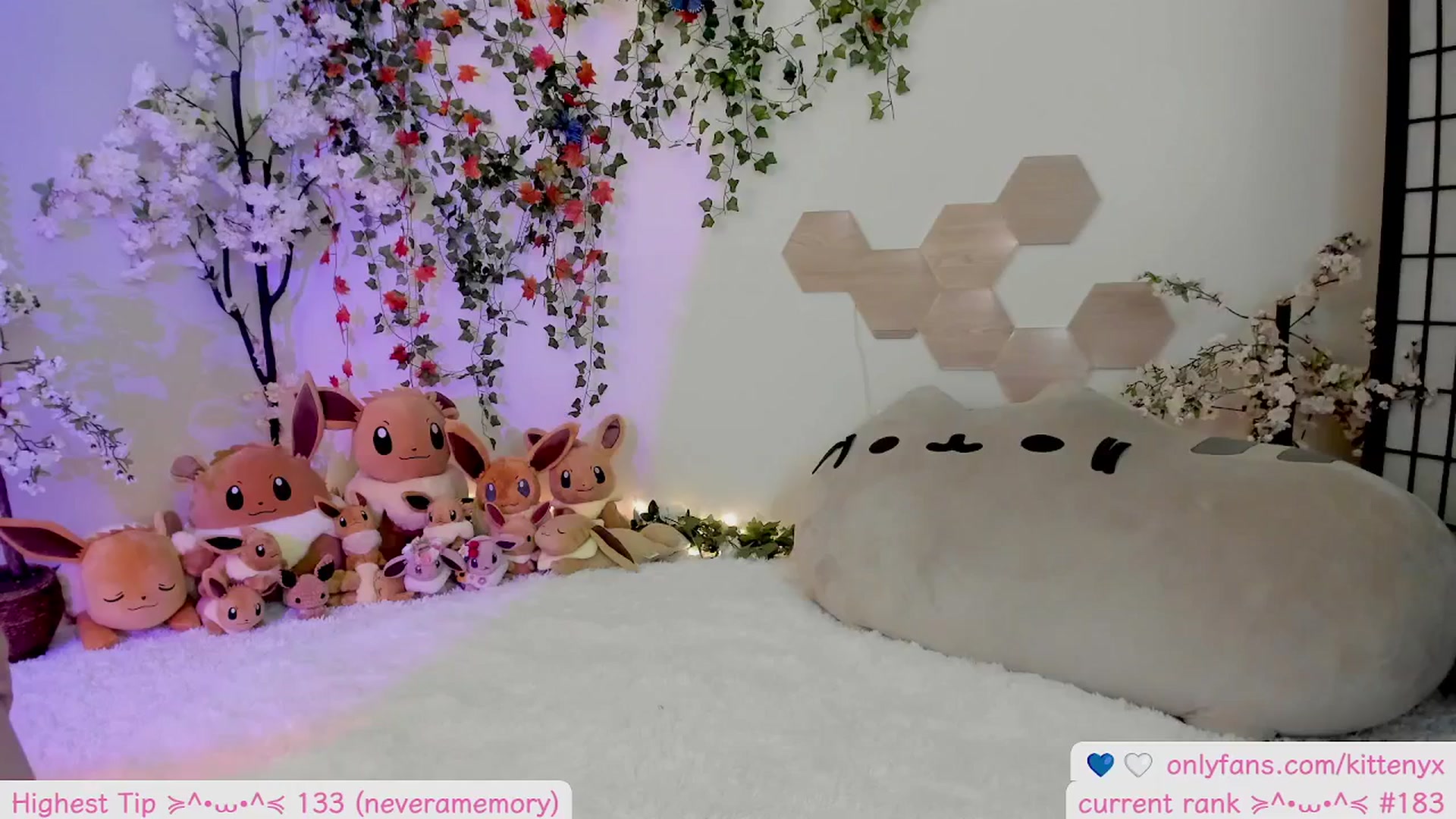 Gallery image thumbnail from Kittenyx's myfreecams stream on, 11/16/2025, 08:15 image 5 of 20
