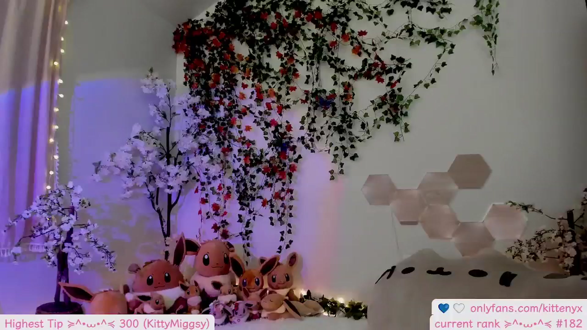 Gallery image thumbnail from Kittenyx's myfreecams stream on, 11/18/2025, 06:53 image 19 of 20