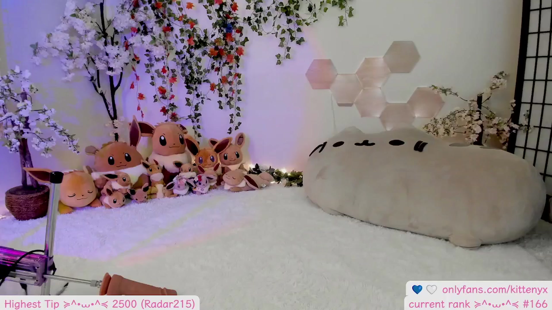 Gallery image thumbnail from Kittenyx's myfreecams stream on, 11/23/2025, 07:59 image 1 of 20