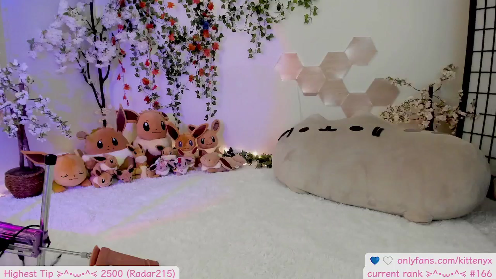 Gallery image thumbnail from Kittenyx's myfreecams stream on, 11/23/2025, 07:59 image 2 of 20