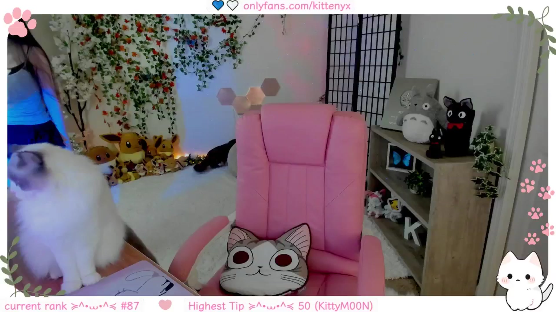 Gallery image thumbnail from Kittenyx's myfreecams stream on, 12/13/2025, 07:37 image 2 of 20