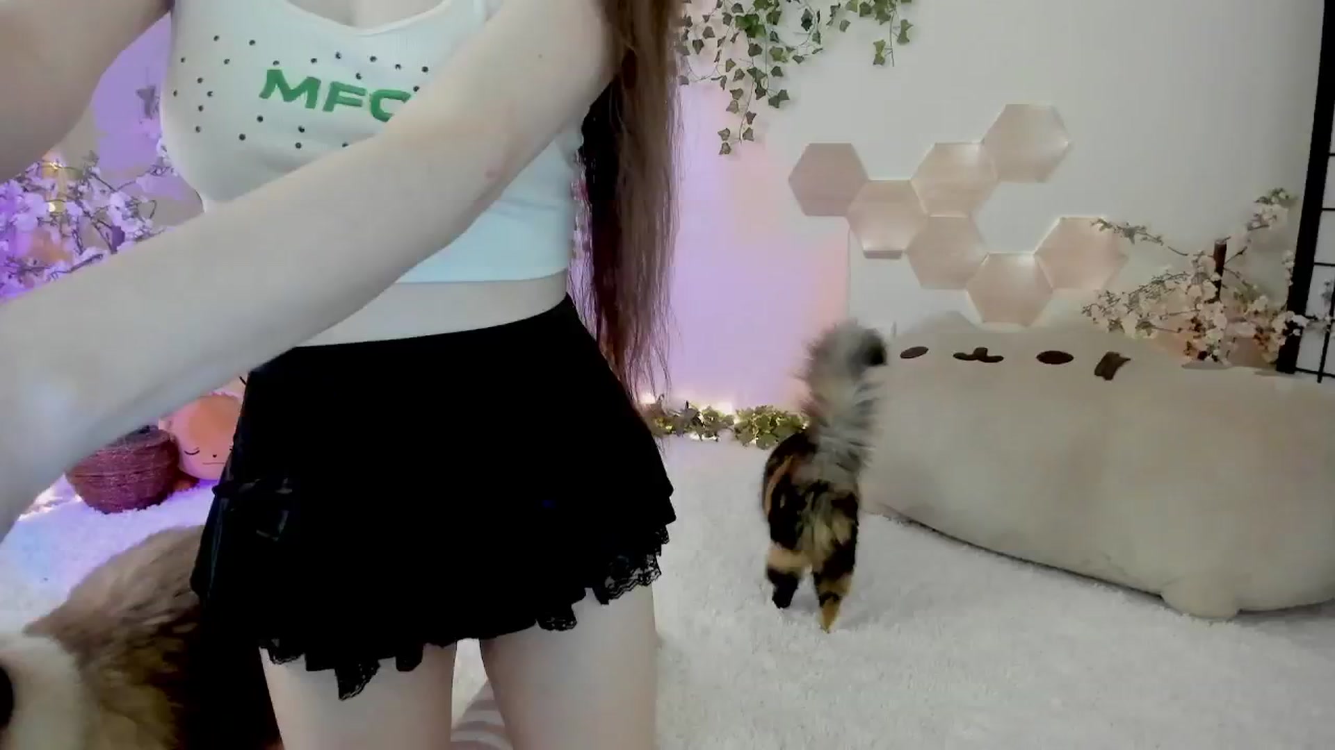 Gallery image thumbnail from Kittenyx's myfreecams stream on, 12/16/2025, 07:04 image 3 of 20