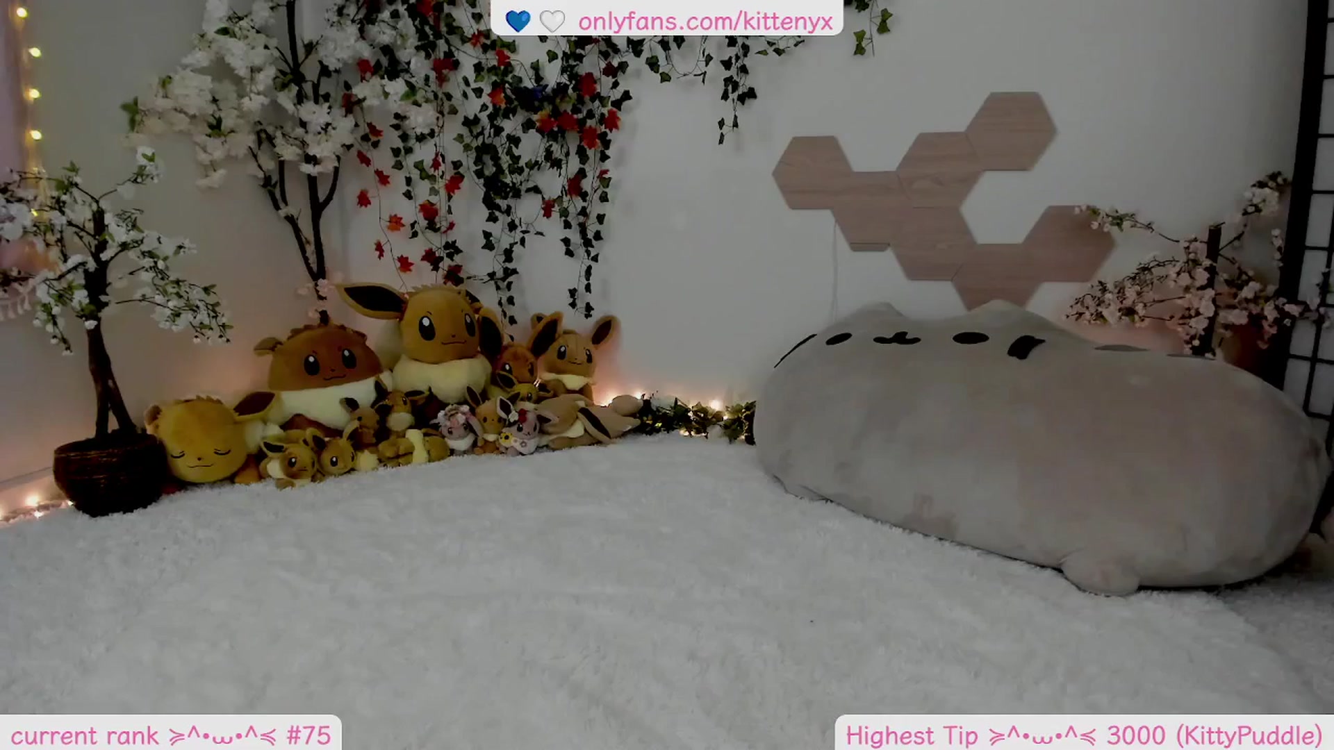 Gallery image thumbnail from Kittenyx's myfreecams stream on, 12/25/2025, 08:14 image 11 of 20