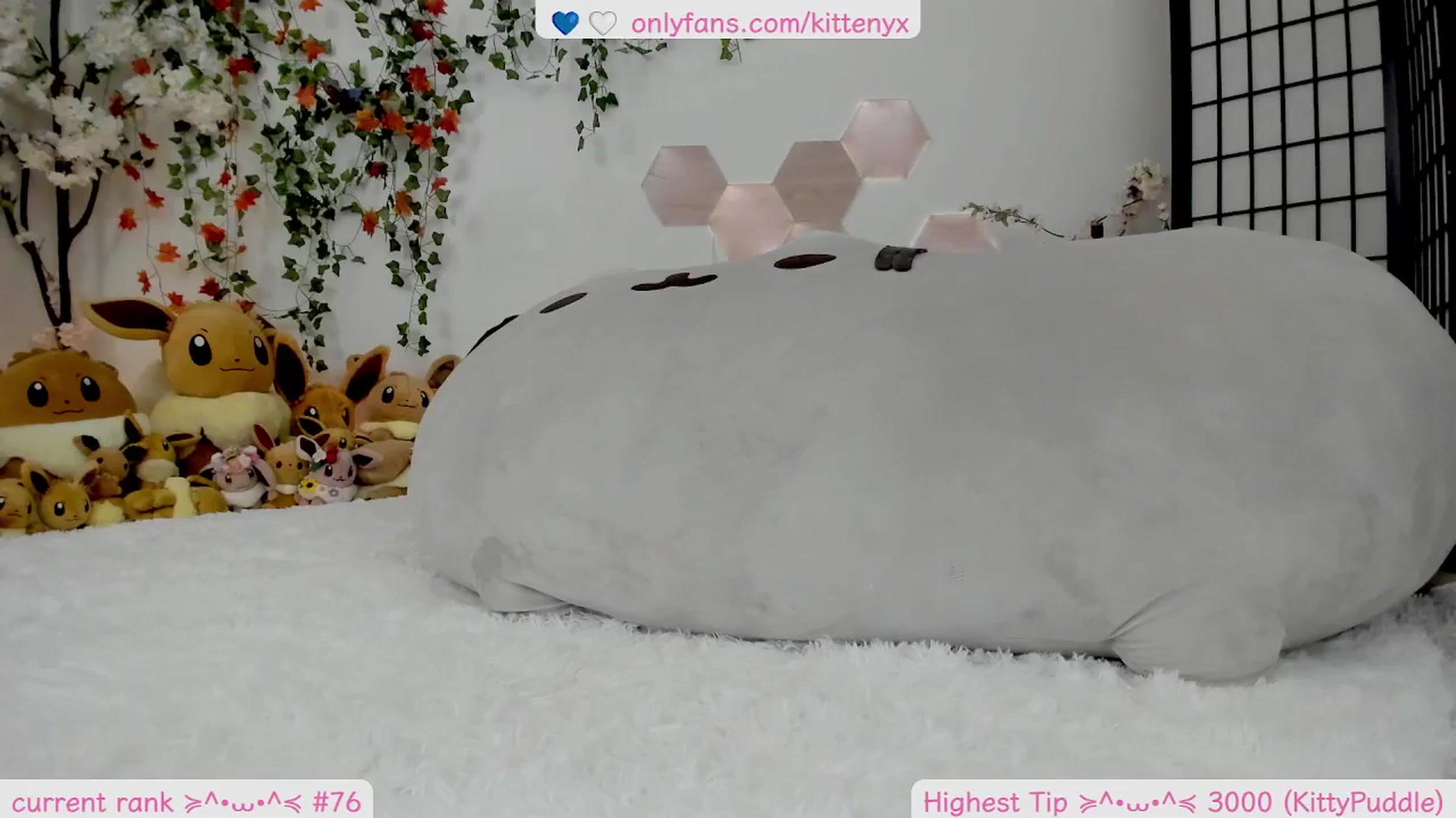 Gallery image thumbnail from Kittenyx's myfreecams stream on, 12/25/2025, 09:14 image 5 of 20