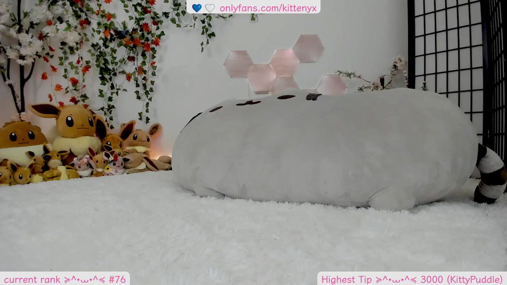 Gallery image thumbnail from Kittenyx's myfreecams stream on, 12/25/2025, 09:14 image 3 of 20