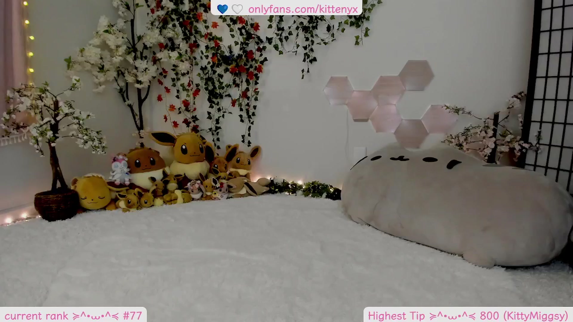 Gallery image thumbnail from Kittenyx's myfreecams stream on, 12/26/2025, 08:30 image 4 of 20