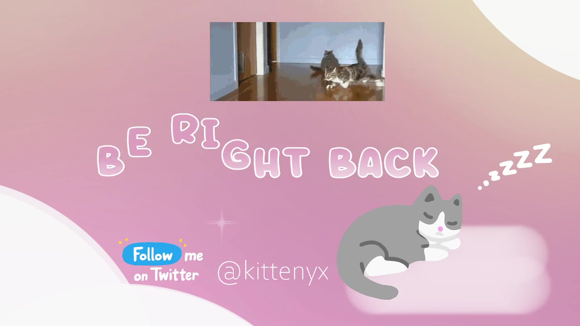 Gallery image thumbnail from Kittenyx's myfreecams stream on, 01/06/2026, 10:16 image 14 of 20