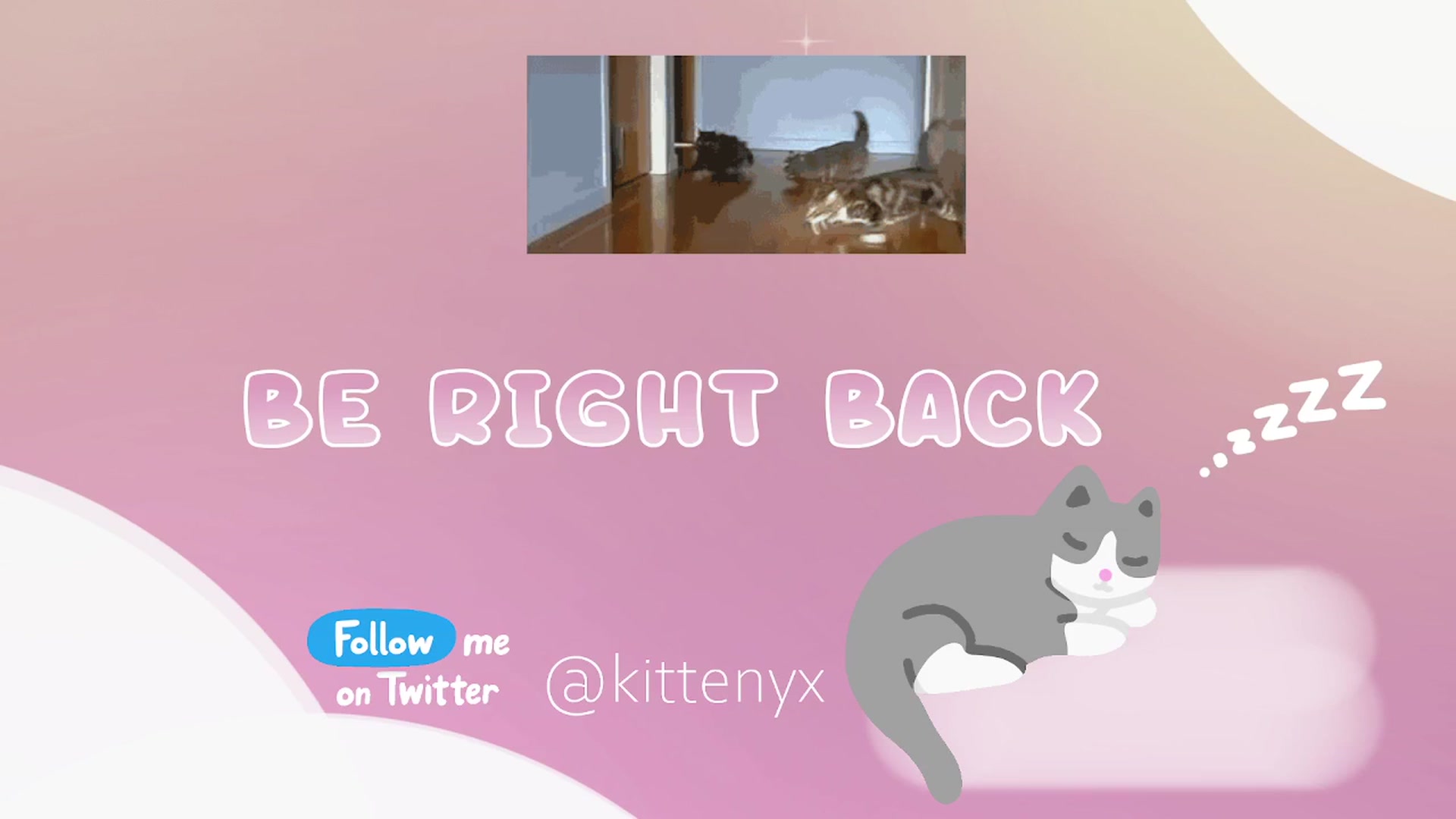 Gallery image thumbnail from Kittenyx's myfreecams stream on, 01/22/2026, 07:40 image 5 of 20