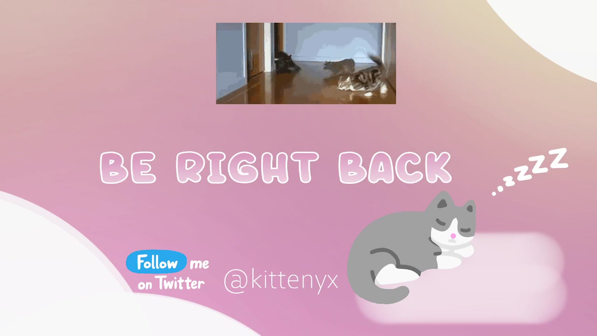 Gallery image thumbnail from Kittenyx's myfreecams stream on, 02/01/2026, 08:25 image 16 of 20
