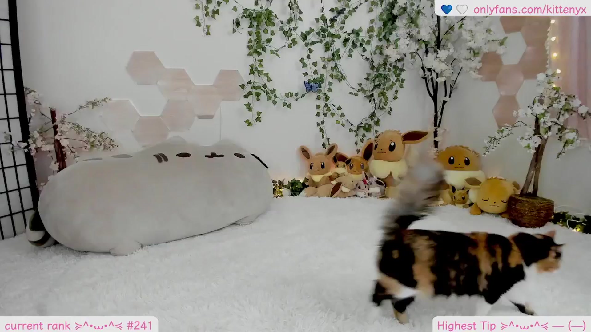 Gallery image thumbnail from Kittenyx's myfreecams stream on, 02/08/2026, 08:53 image 1 of 20
