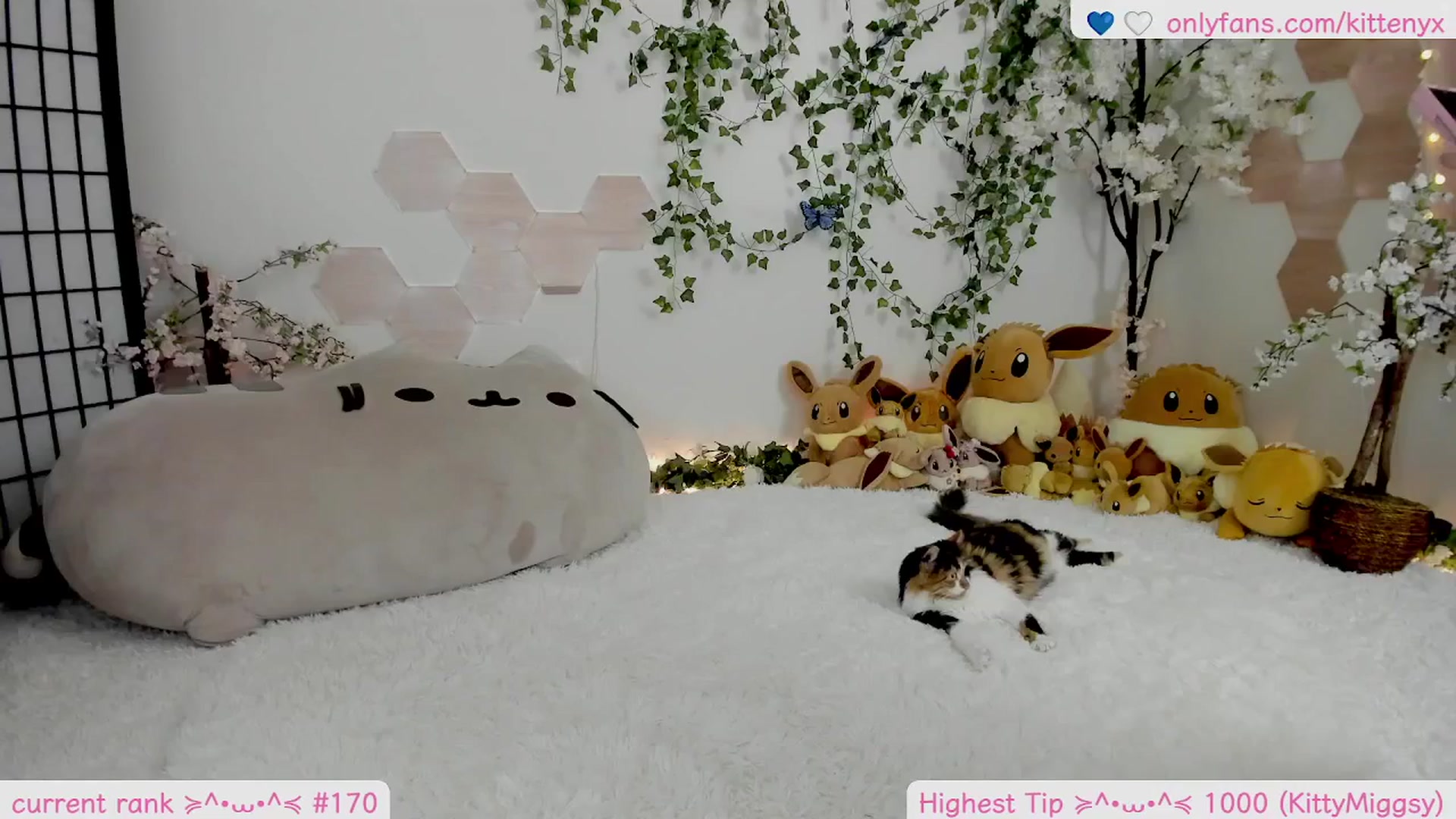 Gallery image thumbnail from Kittenyx's myfreecams stream on, 02/08/2026, 08:53 image 20 of 20