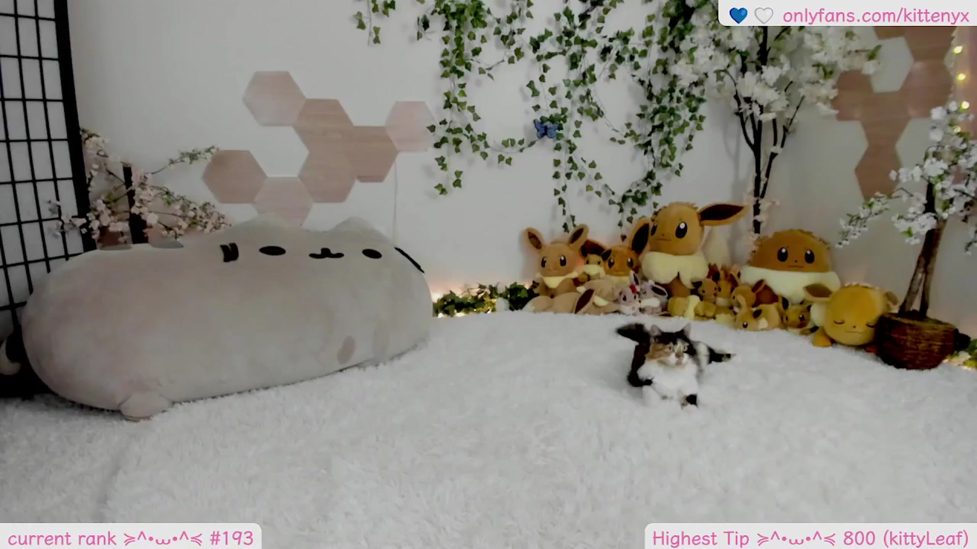 Gallery image thumbnail from Kittenyx's myfreecams stream on, 02/08/2026, 08:53 image 19 of 20