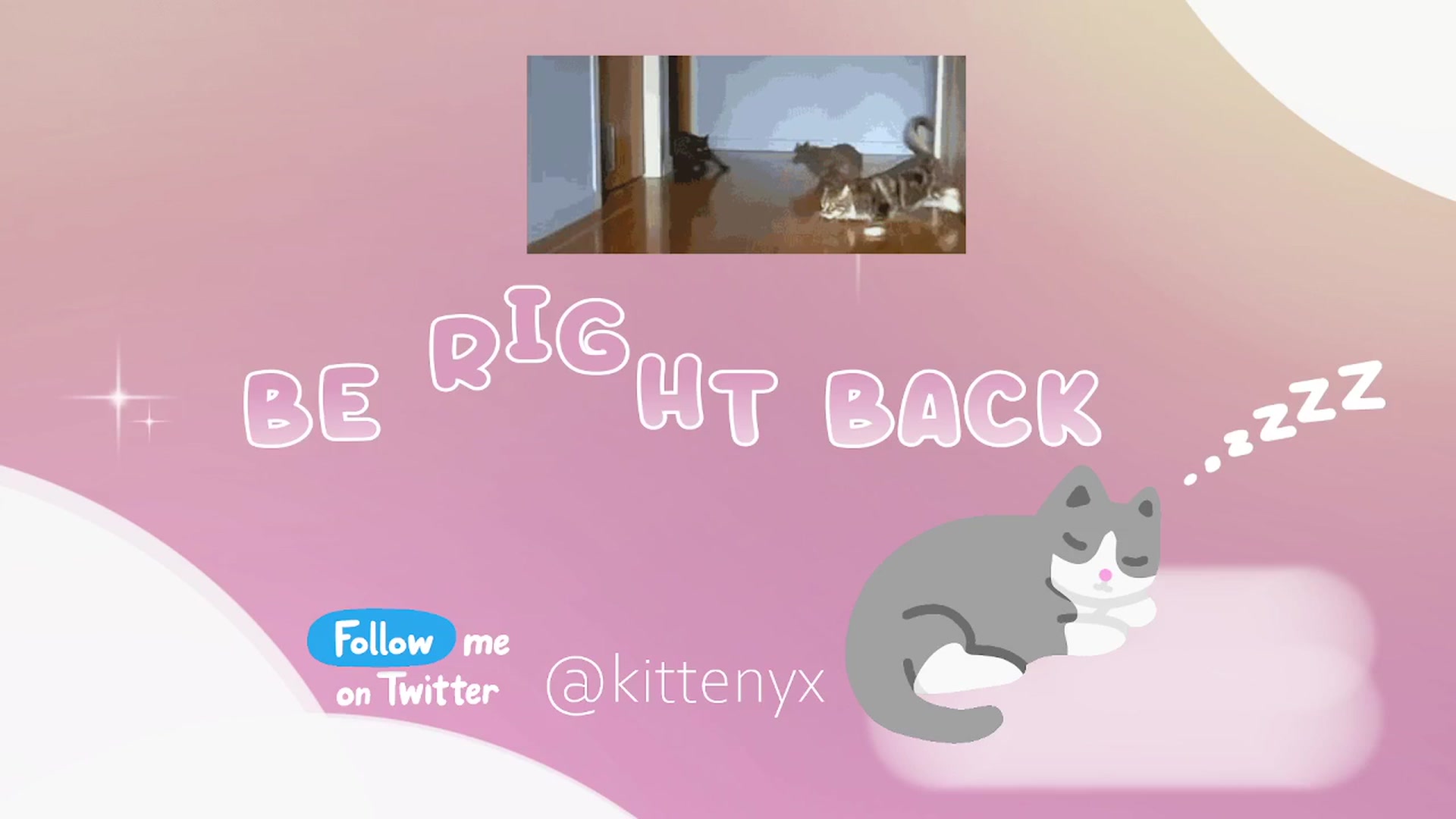 Gallery image thumbnail from Kittenyx's myfreecams stream on, 02/12/2026, 06:46 image 5 of 20