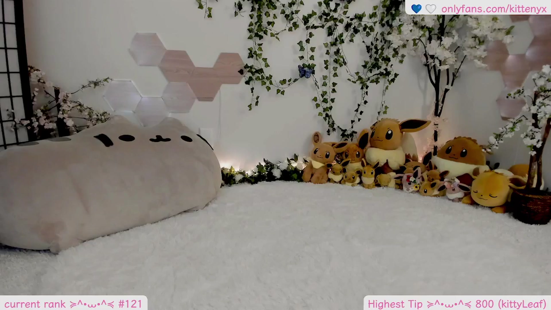 Gallery image thumbnail from Kittenyx's myfreecams stream on, 02/14/2026, 06:50 image 19 of 20