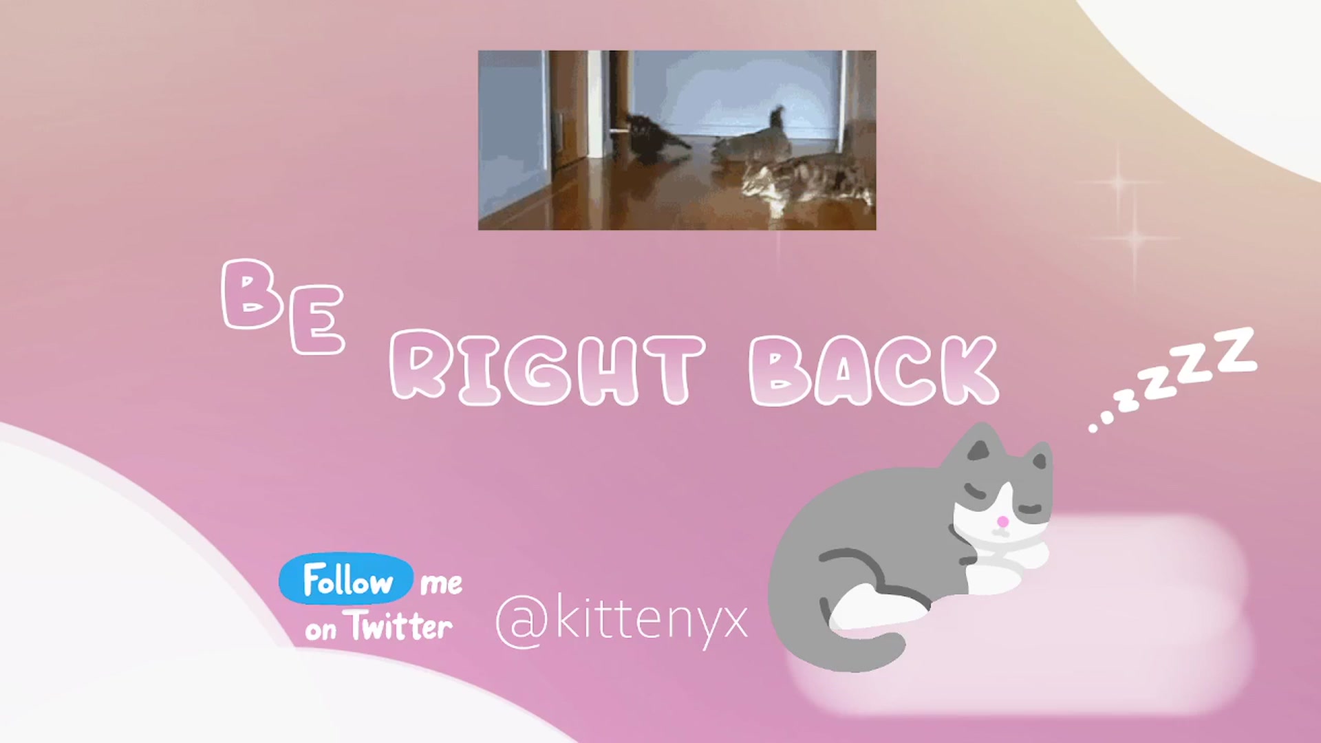 Gallery image thumbnail from Kittenyx's myfreecams stream on, 02/14/2026, 08:17 image 15 of 20