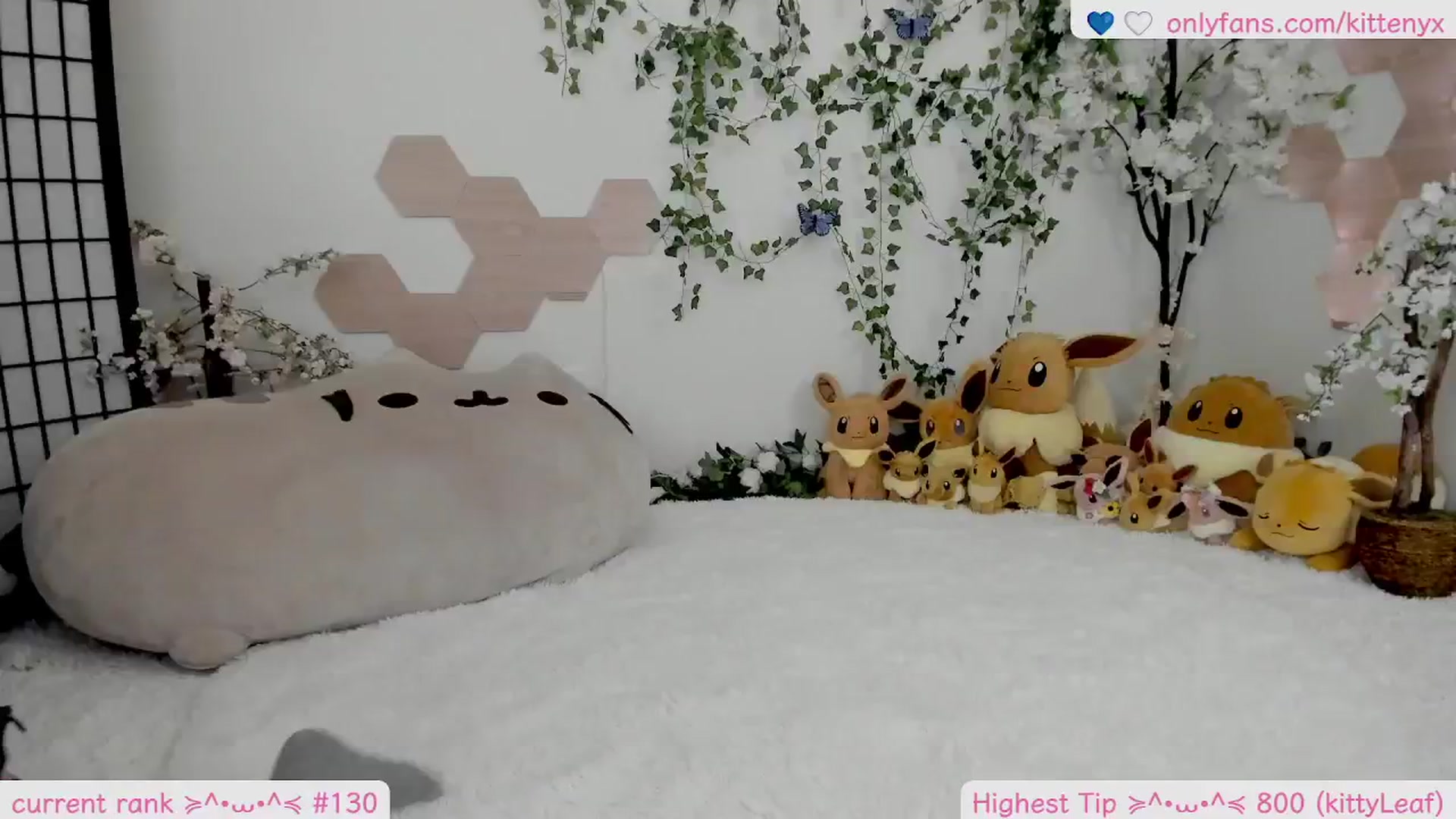 Gallery image thumbnail from Kittenyx's myfreecams stream on, 02/28/2026, 05:16 image 17 of 20