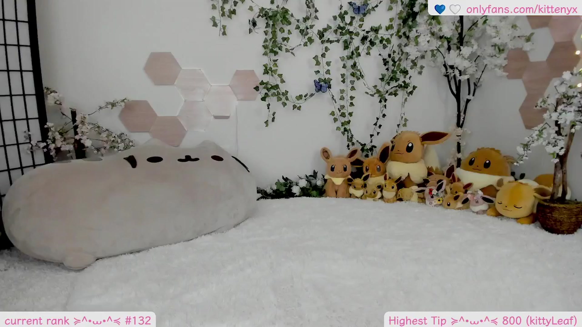 Gallery image thumbnail from Kittenyx's myfreecams stream on, 02/28/2026, 06:45 image 7 of 20
