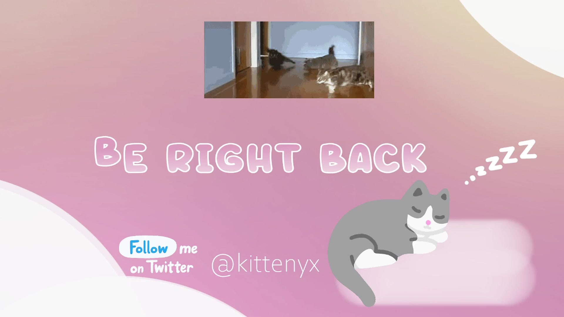 Gallery image thumbnail from Kittenyx's myfreecams stream on, 03/08/2026, 09:48 image 16 of 20