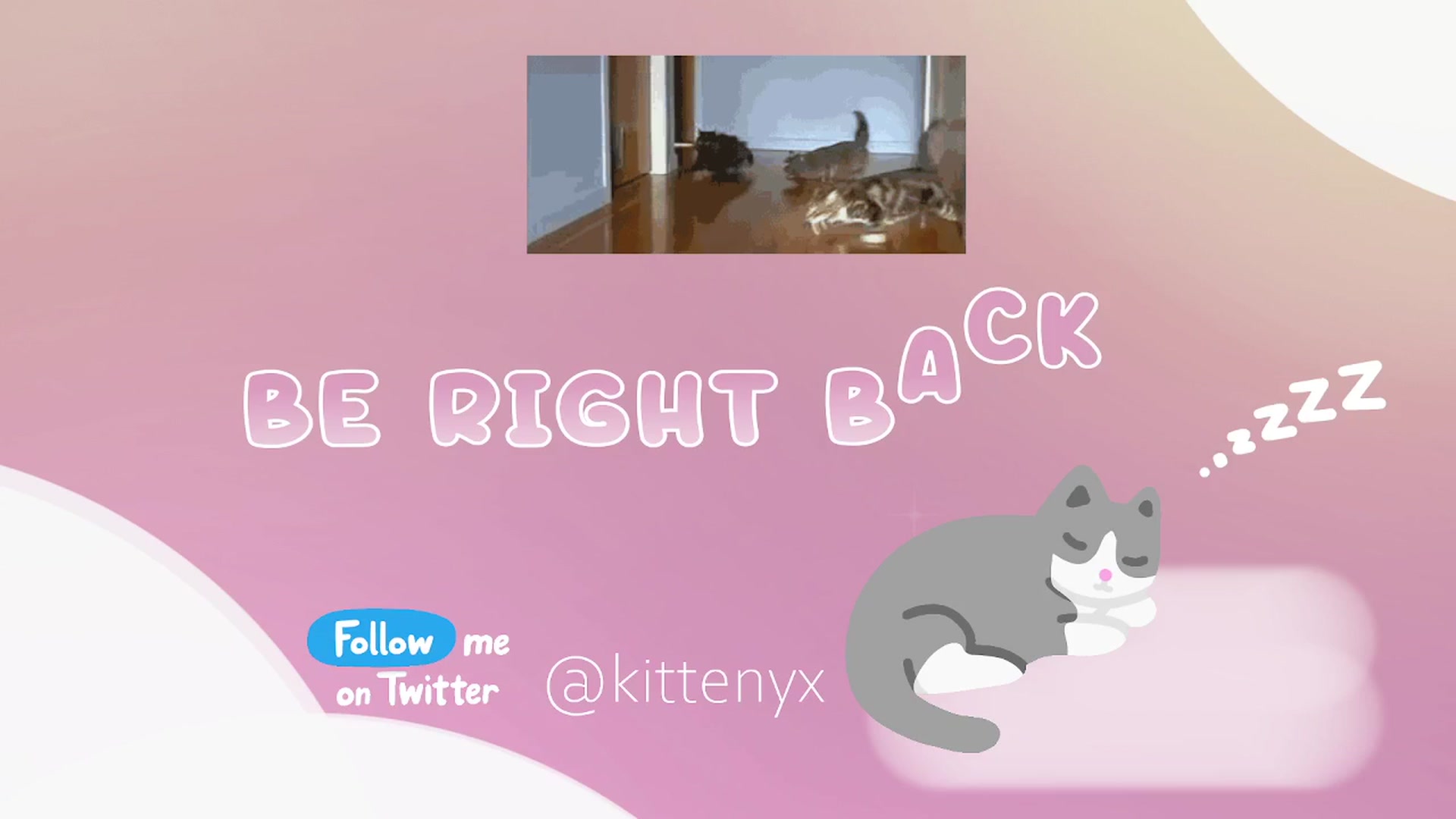 Gallery image thumbnail from Kittenyx's myfreecams stream on, 04/15/2026, 05:16 image 16 of 20