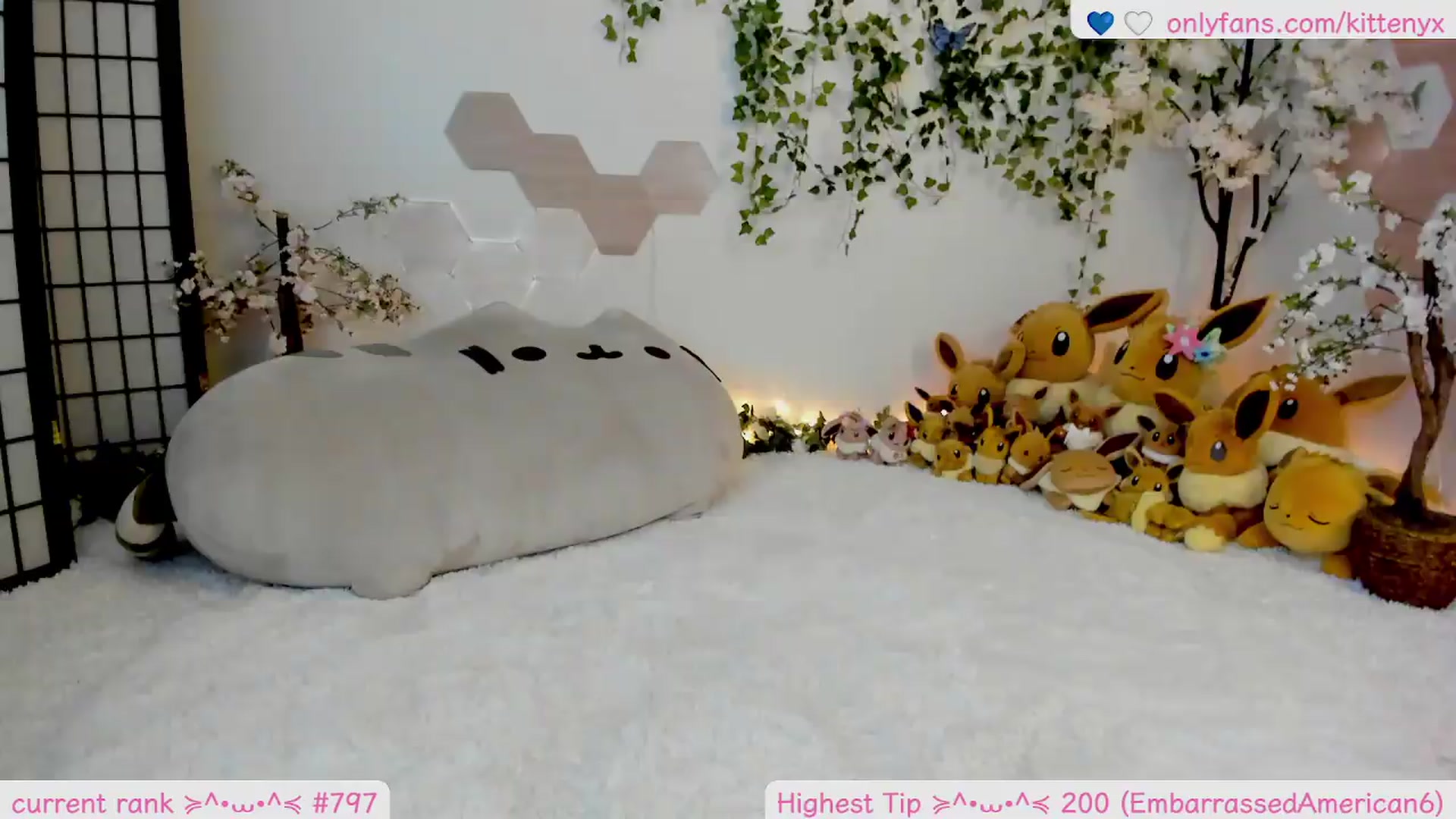 Gallery image thumbnail from Kittenyx's myfreecams stream on, 05/02/2026, 06:27 image 16 of 20