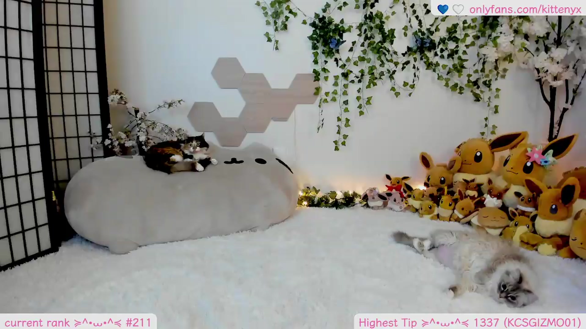 Gallery image thumbnail from Kittenyx's myfreecams stream on, 05/12/2026, 06:16 image 20 of 20