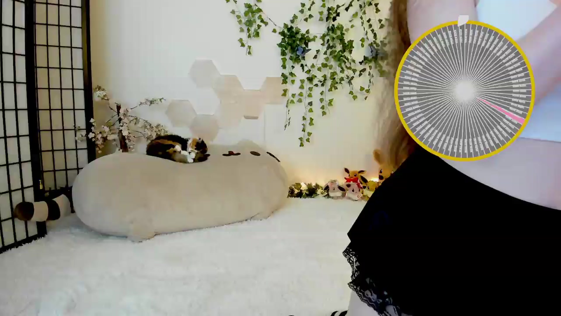 Gallery image thumbnail from Kittenyx's myfreecams stream on, 05/14/2026, 05:51 image 7 of 20