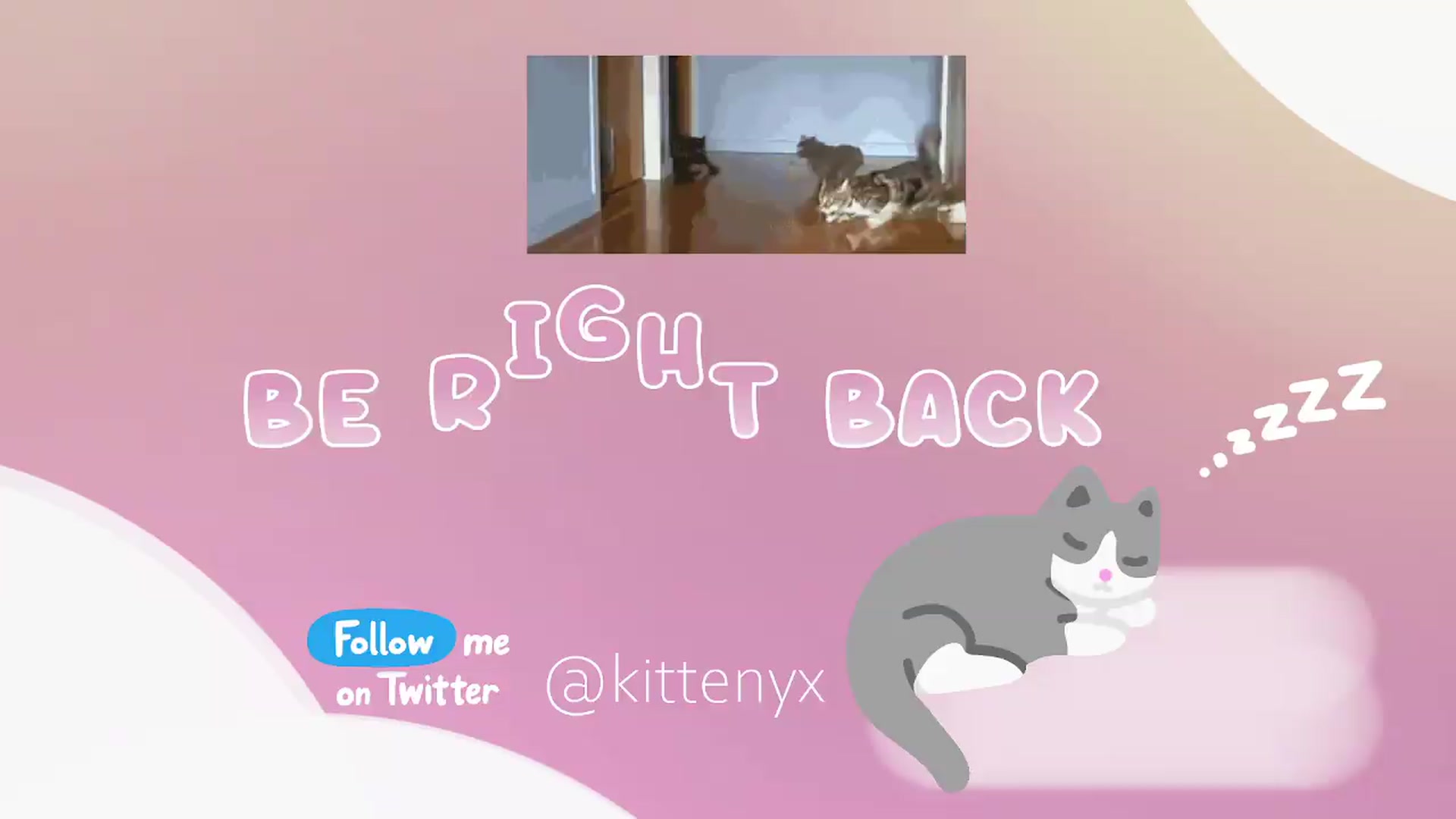 Gallery image thumbnail from Kittenyx's myfreecams stream on, 05/14/2026, 05:51 image 15 of 20