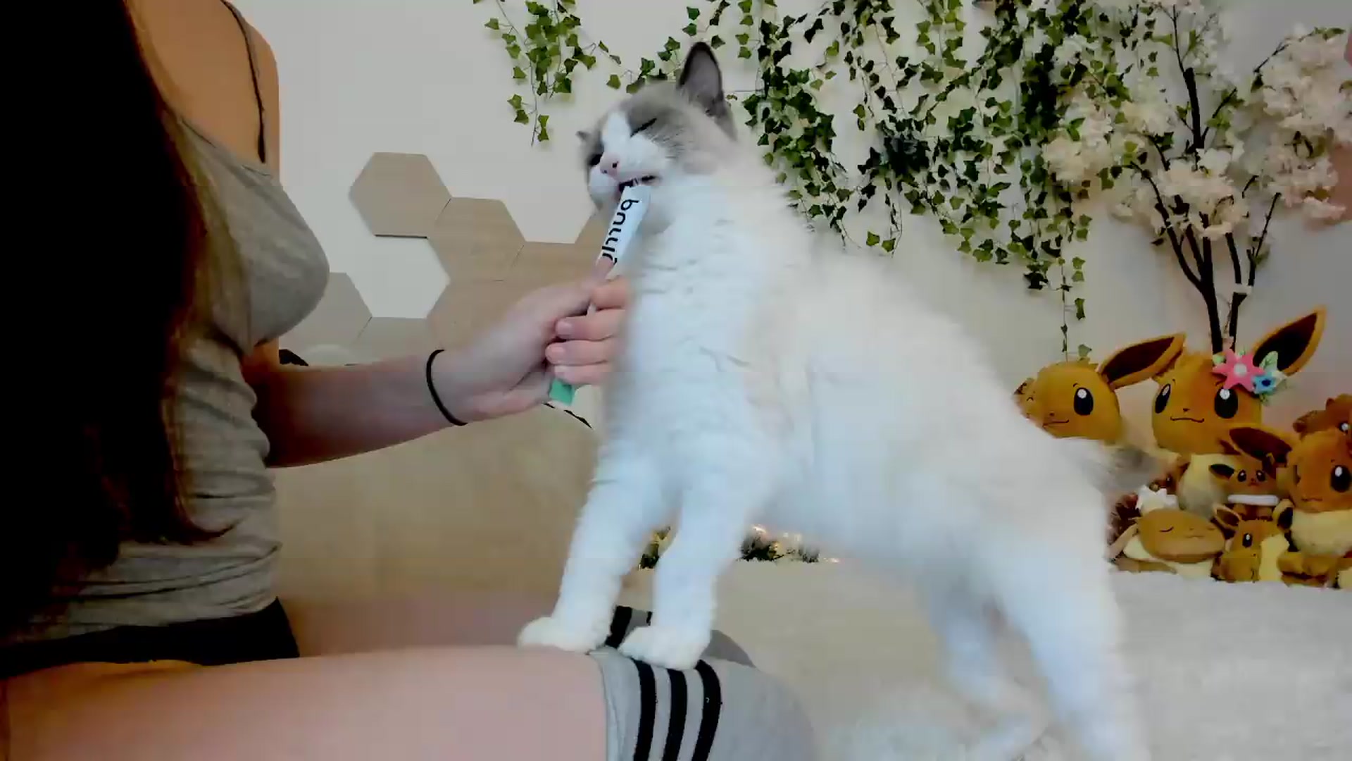 Gallery image thumbnail from Kittenyx's myfreecams stream on, 05/18/2026, 06:38 image 3 of 20