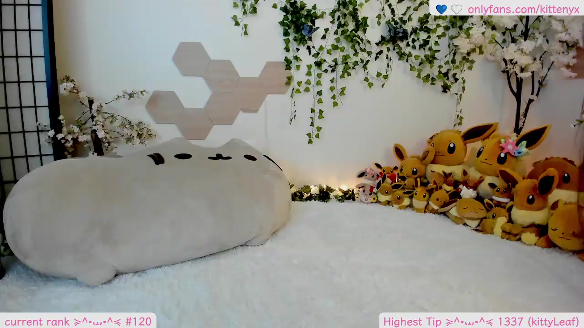 Gallery image thumbnail from Kittenyx's myfreecams stream on, 05/27/2026, 08:19 image 8 of 20