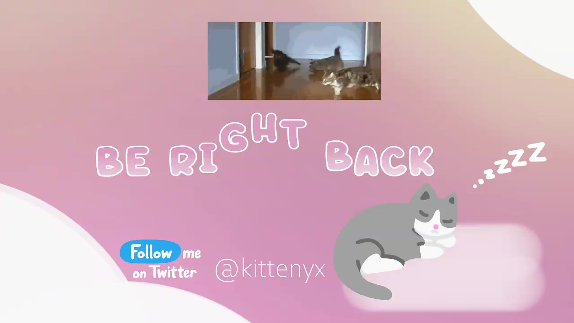 Gallery image thumbnail from Kittenyx's myfreecams stream on, 06/01/2026, 07:23 image 19 of 20