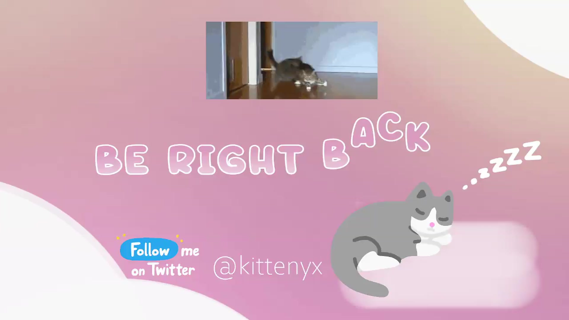 Gallery image thumbnail from Kittenyx's myfreecams stream on, 06/04/2026, 06:43 image 9 of 20