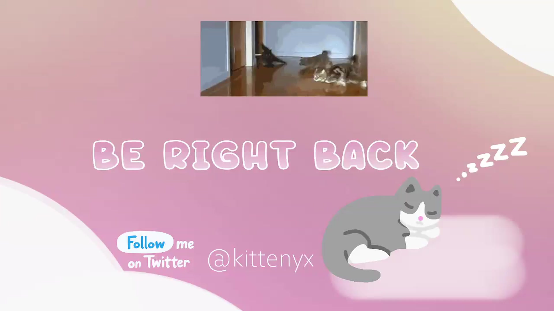 Gallery image thumbnail from Kittenyx's myfreecams stream on, 06/07/2026, 06:23 image 3 of 20