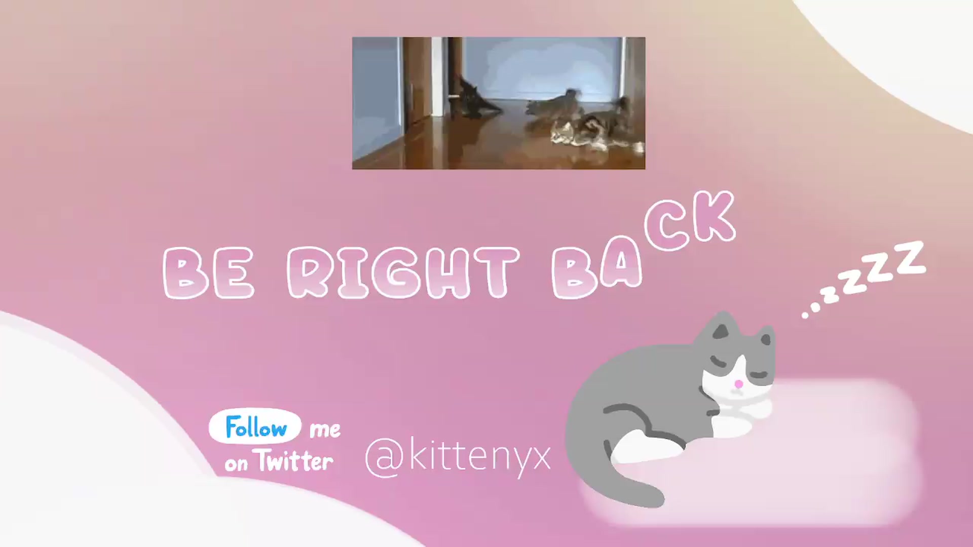 Gallery image thumbnail from Kittenyx's myfreecams stream on, 06/24/2026, 08:11 image 10 of 20