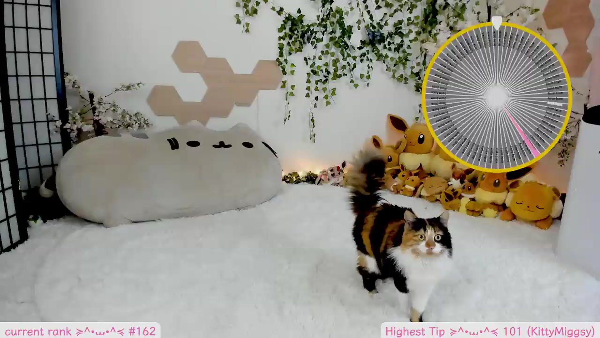 Gallery image thumbnail from Kittenyx's myfreecams stream on, 06/25/2026, 07:41 image 3 of 20