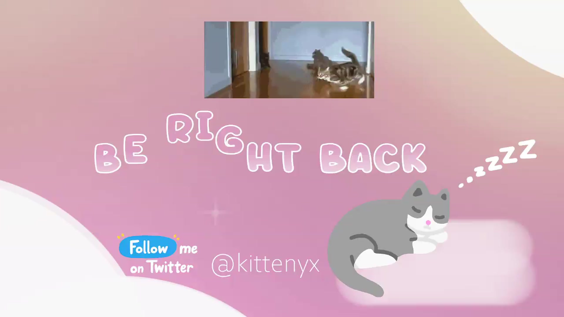 Gallery image thumbnail from Kittenyx's myfreecams stream on, 07/08/2026, 06:47 image 9 of 20