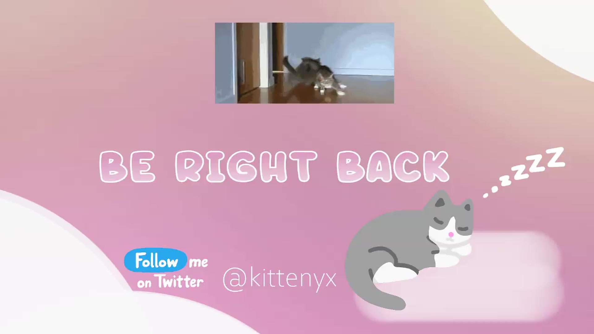 Gallery image thumbnail from Kittenyx's myfreecams stream on, 07/14/2026, 07:31 image 11 of 20