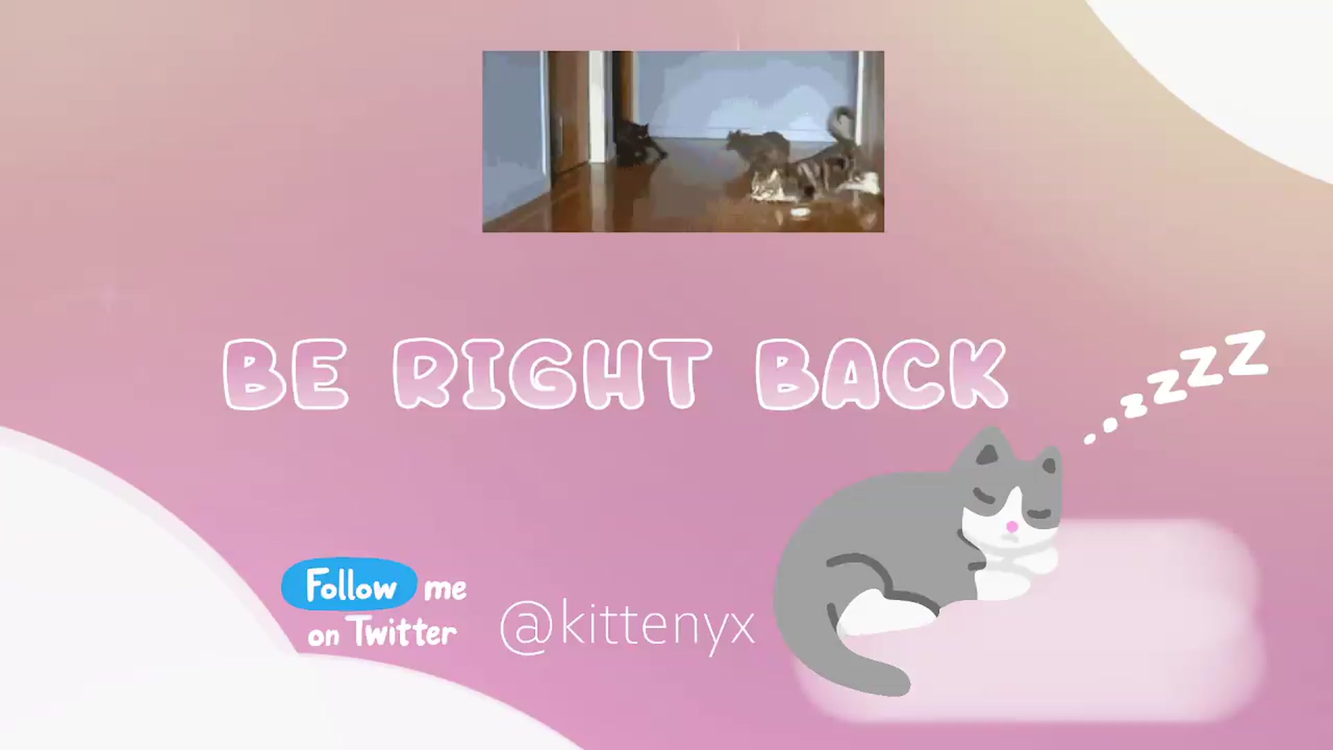 Gallery image thumbnail from Kittenyx's myfreecams stream on, 07/14/2026, 07:31 image 9 of 20