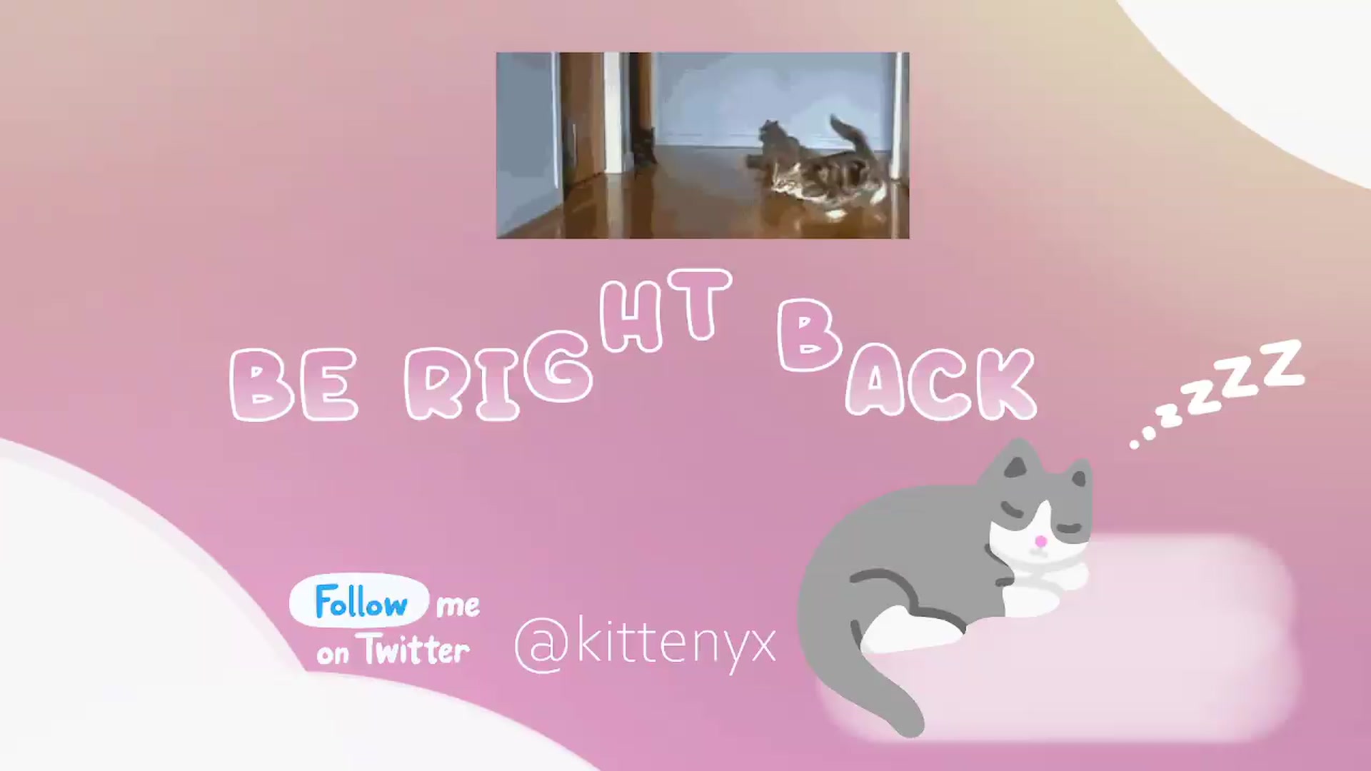 Gallery image thumbnail from Kittenyx's myfreecams stream on, 07/24/2026, 07:16 image 17 of 20