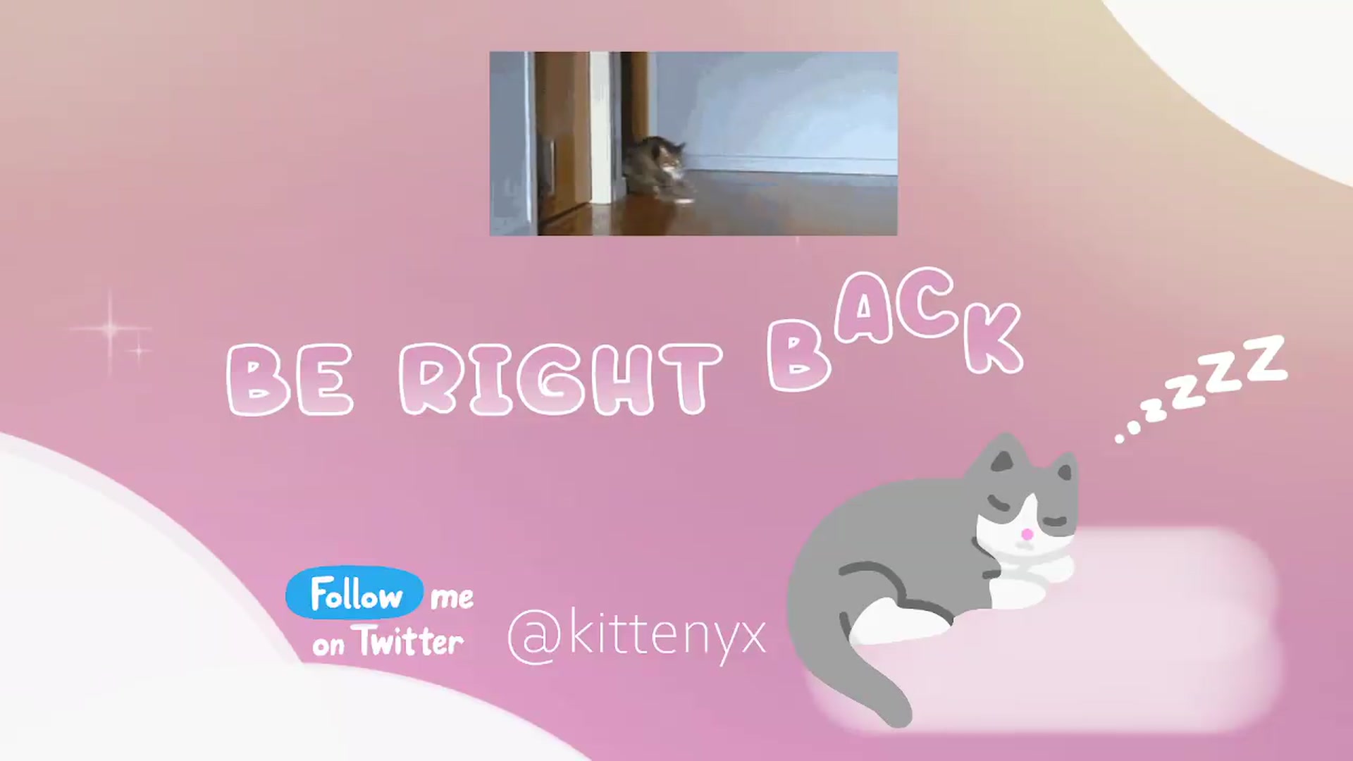 Gallery image thumbnail from Kittenyx's myfreecams stream on, 07/24/2026, 07:16 image 13 of 20