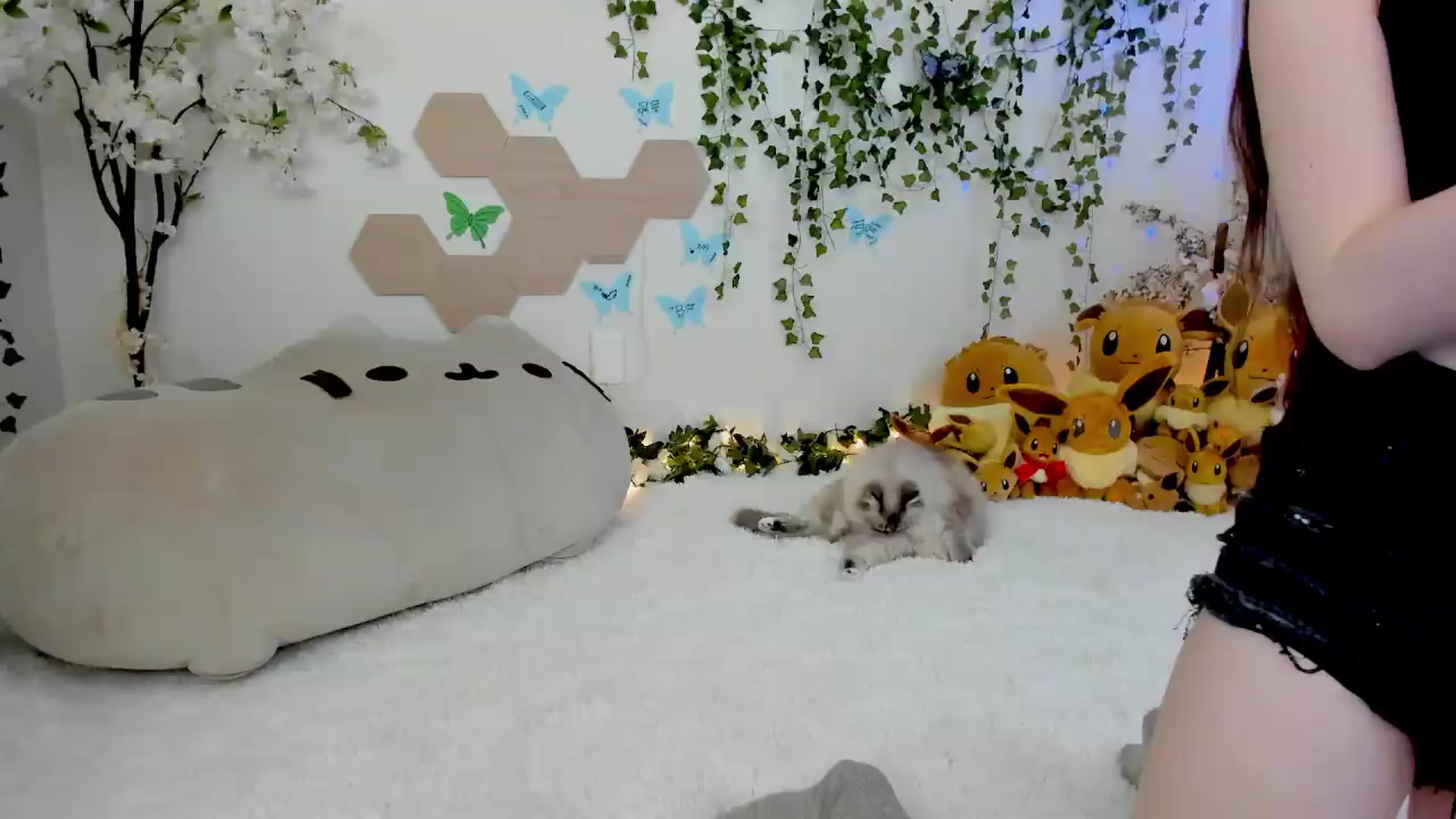 Gallery image thumbnail from Kittenyx's myfreecams stream on, 08/12/2026, 06:01 image 18 of 20