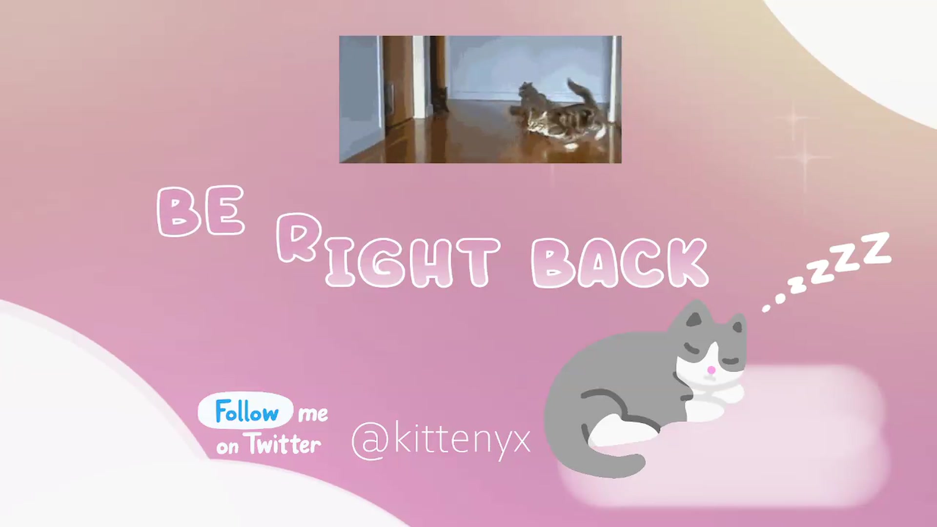 Gallery image thumbnail from Kittenyx's myfreecams stream on, 08/22/2026, 08:36 image 16 of 20