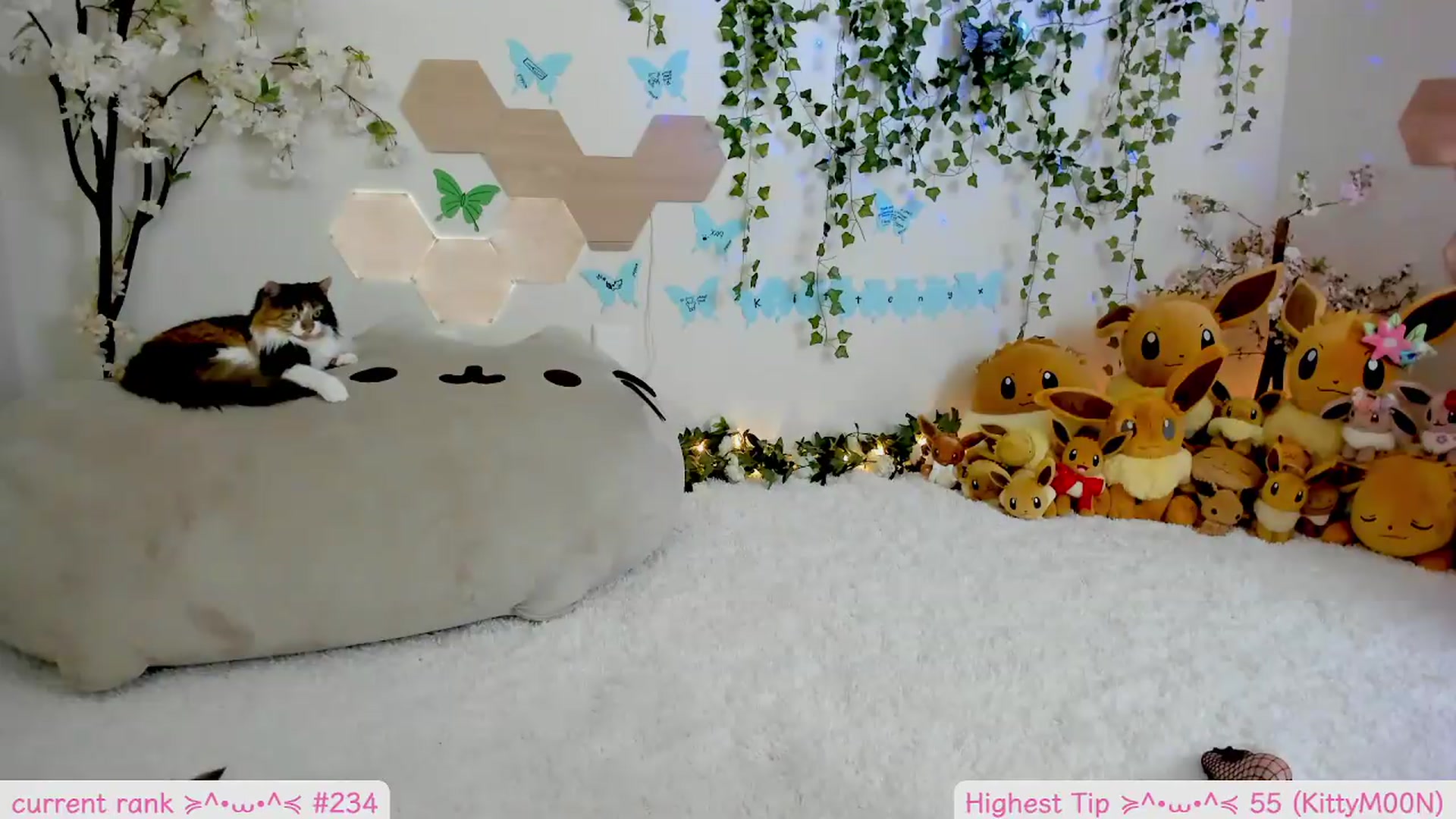 Gallery image thumbnail from Kittenyx's myfreecams stream on, 08/26/2026, 06:15 image 2 of 20