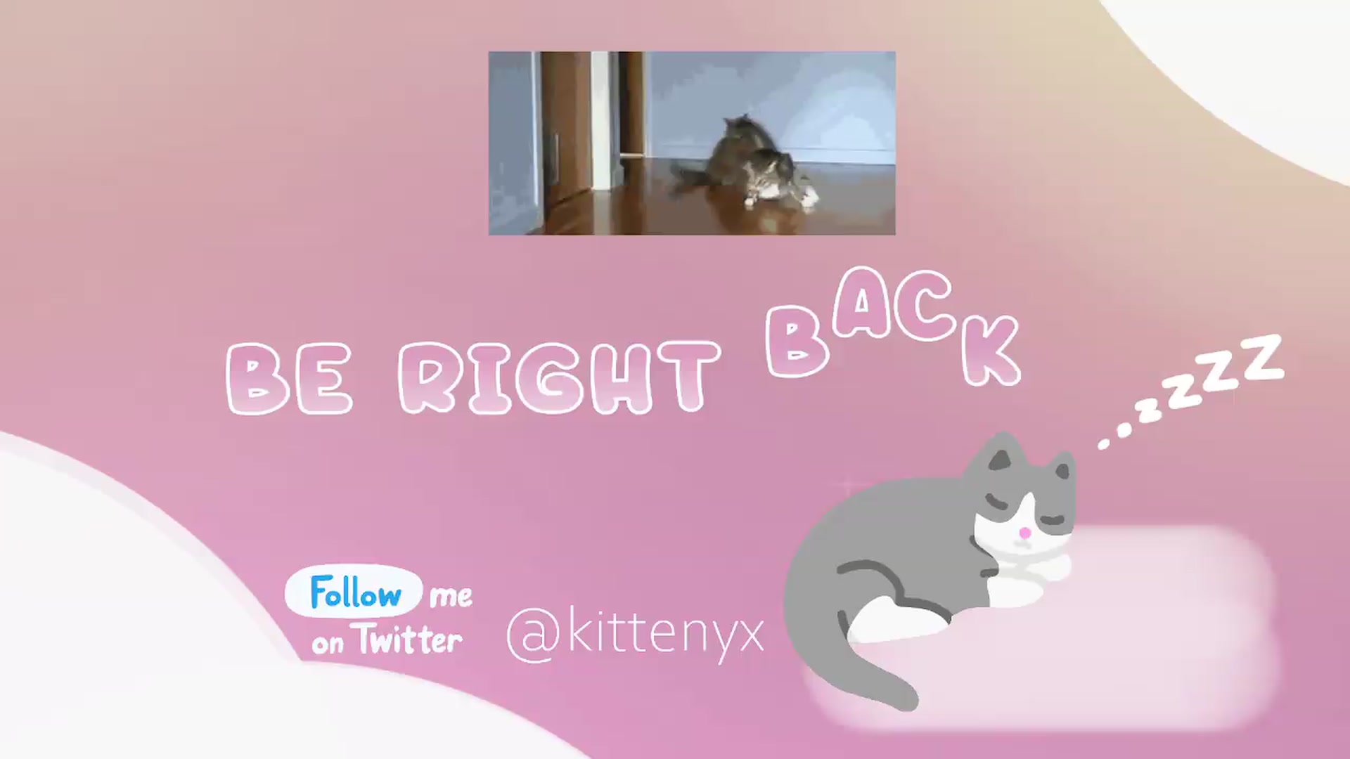 Gallery image thumbnail from Kittenyx's myfreecams stream on, 09/04/2026, 06:55 image 13 of 20