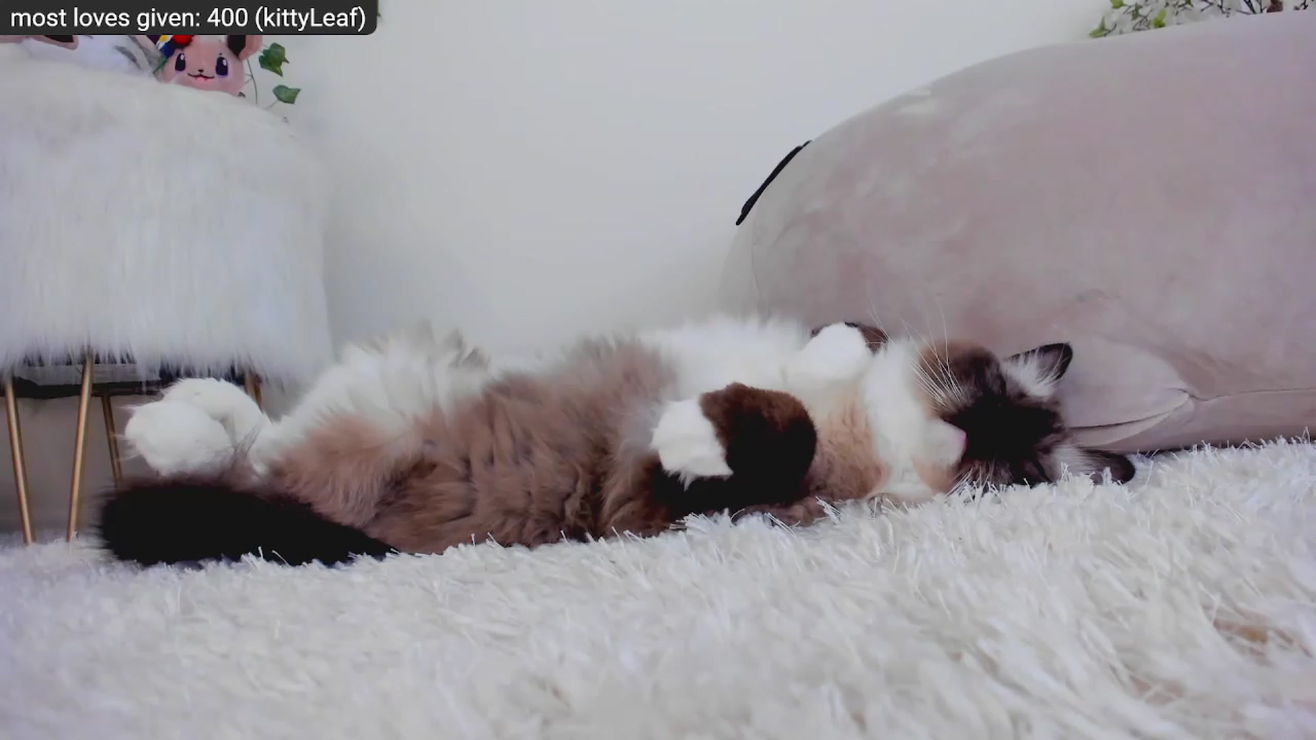 Gallery image thumbnail from Kitty's myfreecams stream on, 12/03/2022, 05:30 image 15 of 20