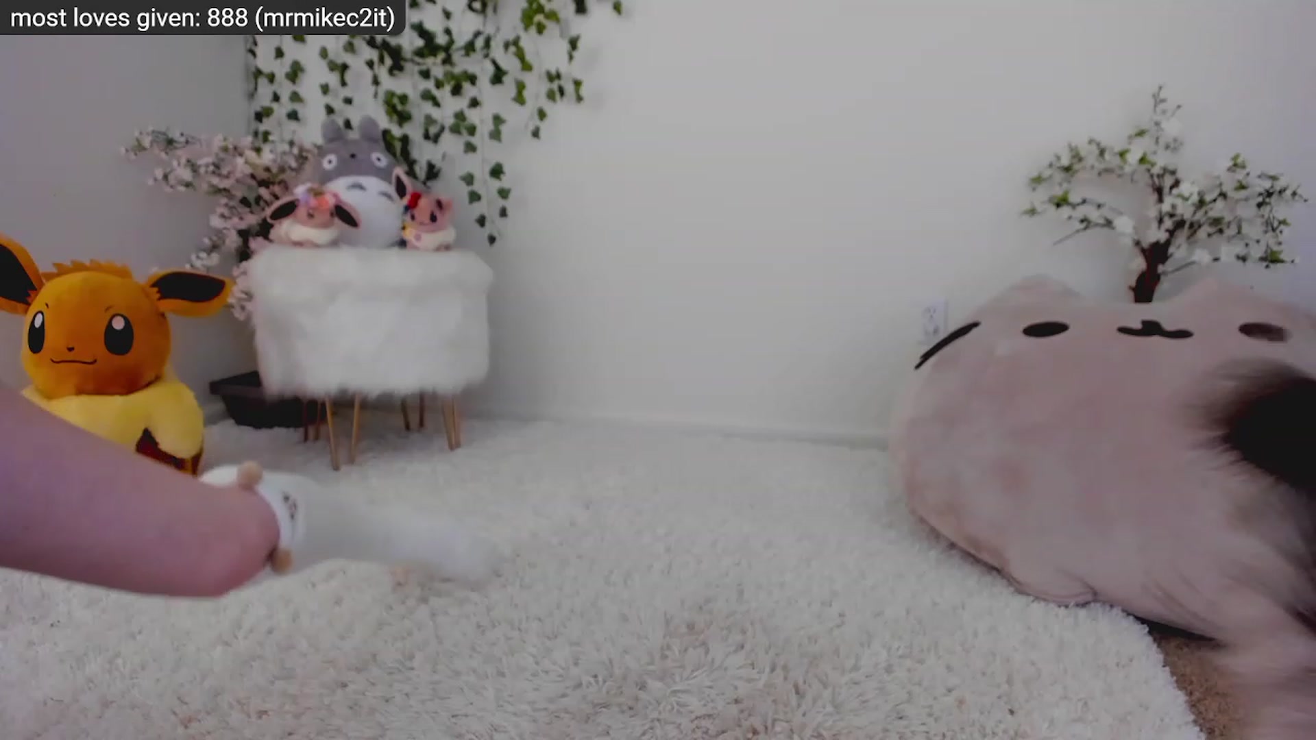Gallery image thumbnail from Kitty's myfreecams stream on, 12/15/2022, 09:01 image 12 of 20