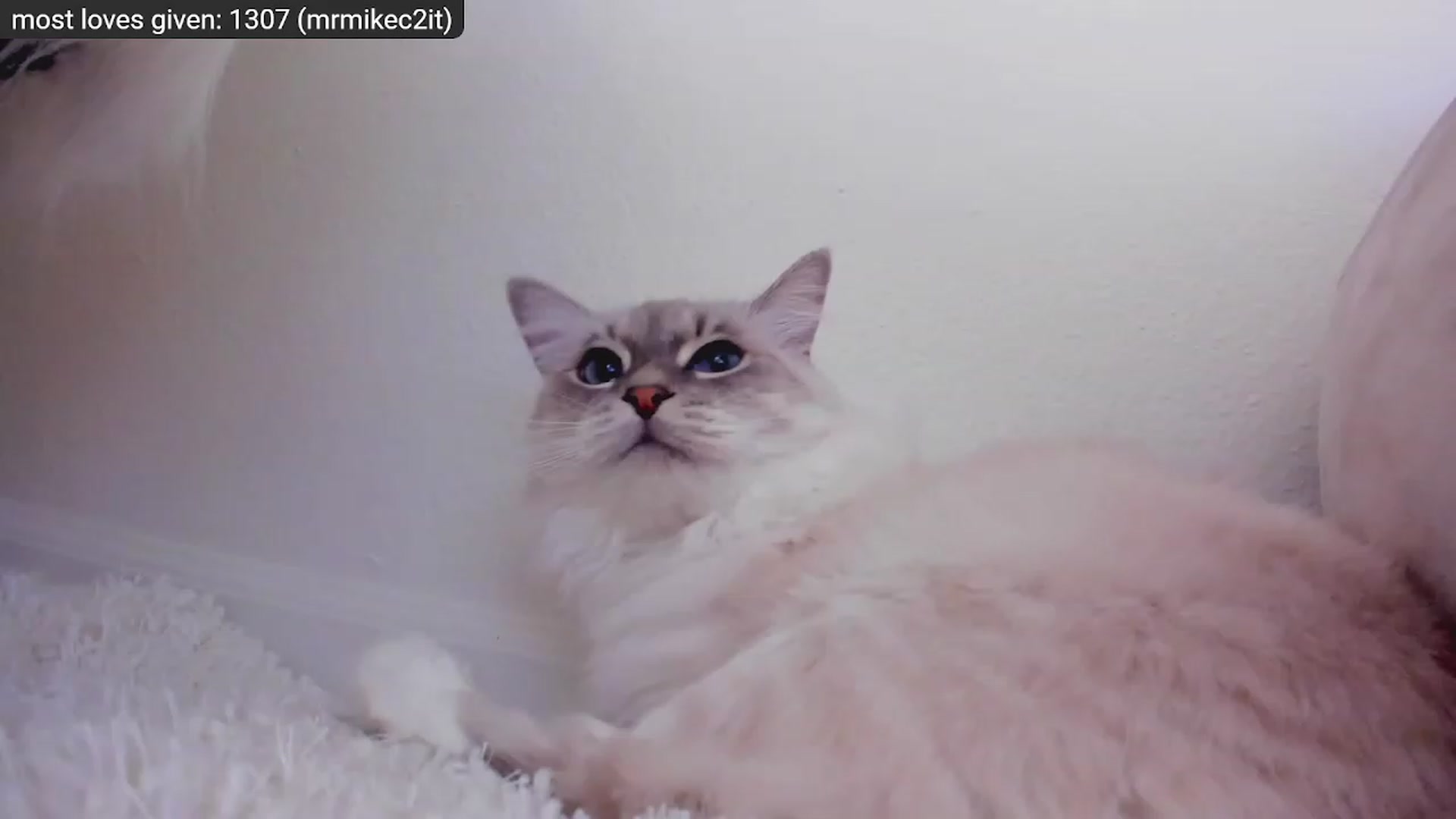 Gallery image thumbnail from Kitty's myfreecams stream on, 12/29/2022, 09:18 image 17 of 20