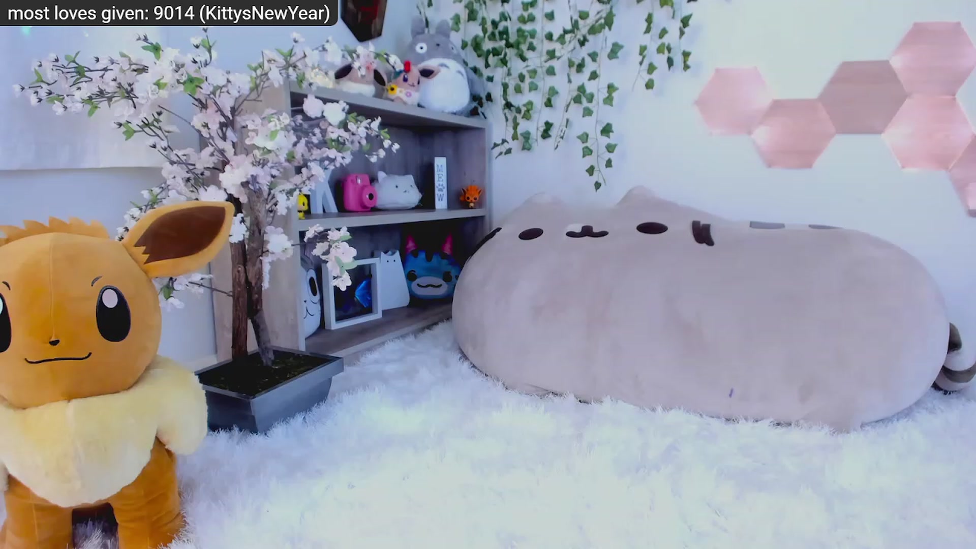 Gallery image thumbnail from Kitty's myfreecams stream on, 01/04/2023, 08:50 image 11 of 20