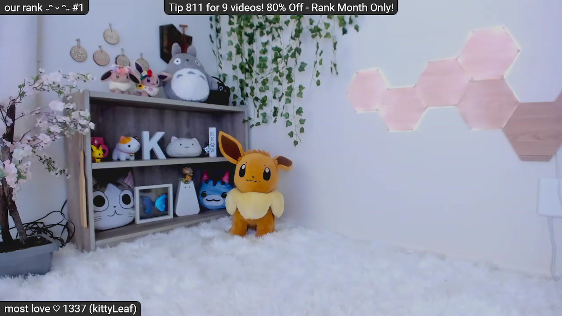 Gallery image thumbnail from Kitty's myfreecams stream on, 01/10/2023, 07:44 image 16 of 20